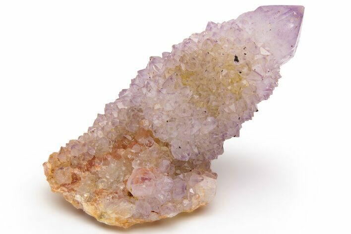 Cactus Quartz (Amethyst) Crystal Cluster - South Africa #237397